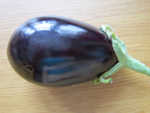 aubergine 'black enorma'